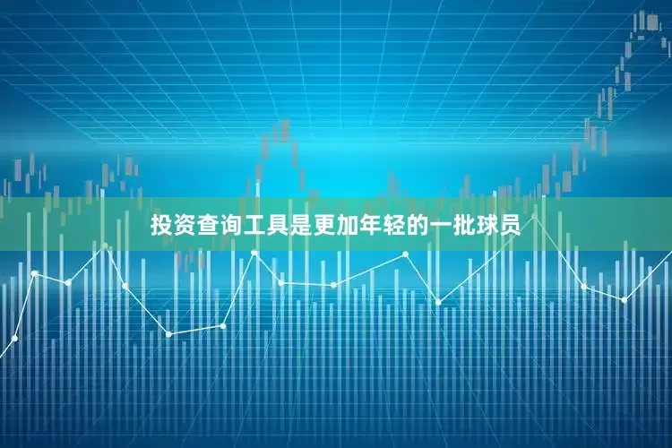 投资查询工具是更加年轻的一批球员